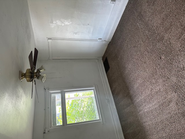 316 Summit St
